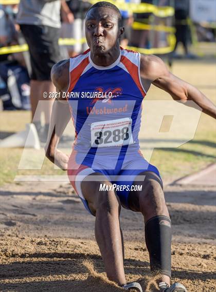 Thumbnail 2 in AIA Track & Field Championships(Boys Long/Triple Jump DIV 1 & 3) photogallery.