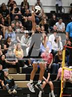 Photo from the gallery "Long Beach Poly @ Canyon (CIF-SS D2 Playoffs)"