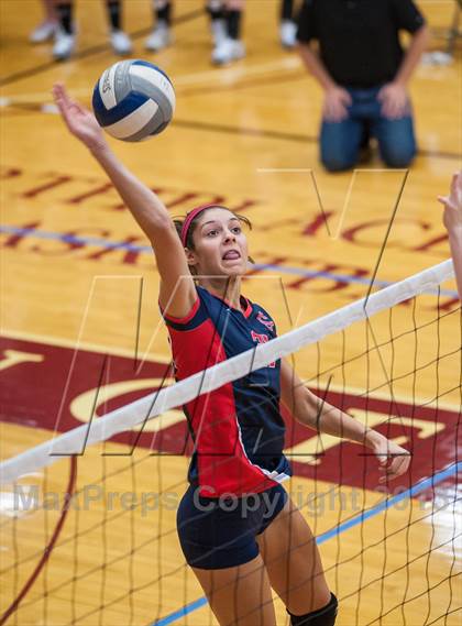 Thumbnail 3 in Central Catholic vs Greely (2013 Volleyhall Classic) photogallery.