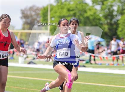 Thumbnail 2 in Bryan Bradley Viking Track Classic (100m) photogallery.