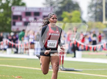 Thumbnail 3 in Bryan Bradley Viking Track Classic (100m) photogallery.