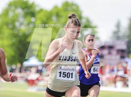 Thumbnail 2 in Bryan Bradley Viking Track Classic (100m) photogallery.