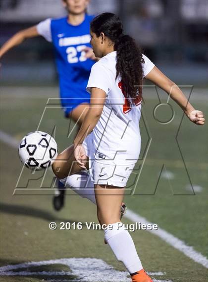 Thumbnail 2 in El Camino Real vs. Taft (CIF LACS D1 Final) photogallery.