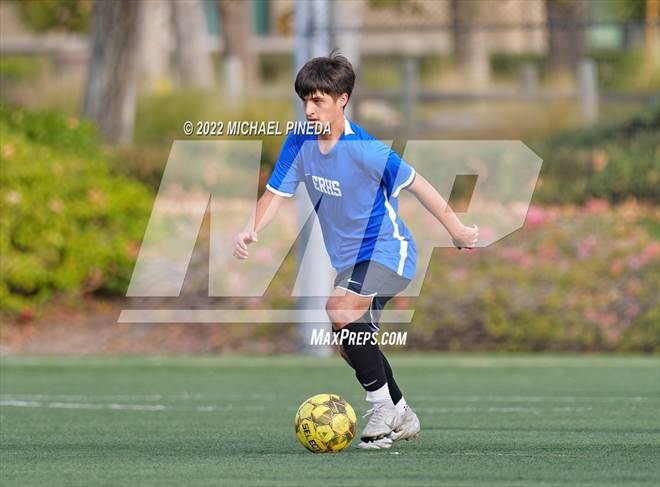 null - Photo 11