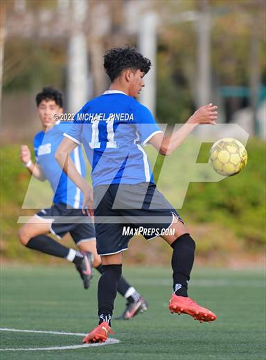 null - Photo 11