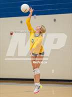 Photo from the gallery "Shorecrest Prep @ Out-of-Door Academy"