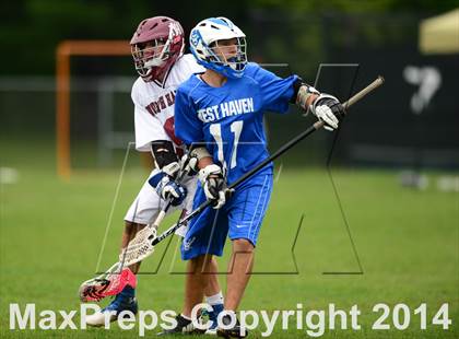 Thumbnail 3 in West Haven @ North Haven photogallery.