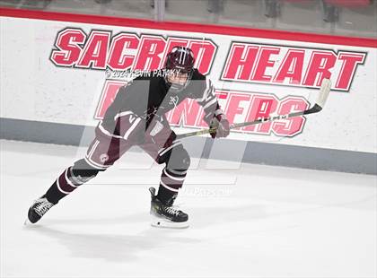 Thumbnail 3 in North Haven @ Notre Dame Catholic photogallery.
