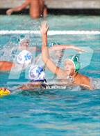 Photo from the gallery "Charter Oak @ Upland"