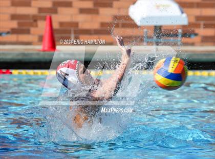 Thumbnail 2 in Crespi @ Loyola photogallery.