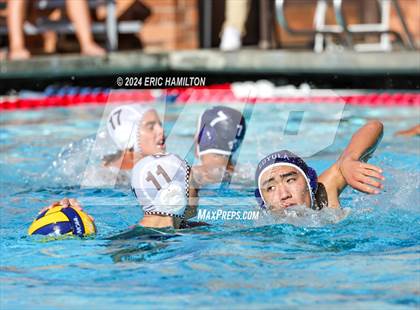 Thumbnail 2 in Crespi @ Loyola photogallery.