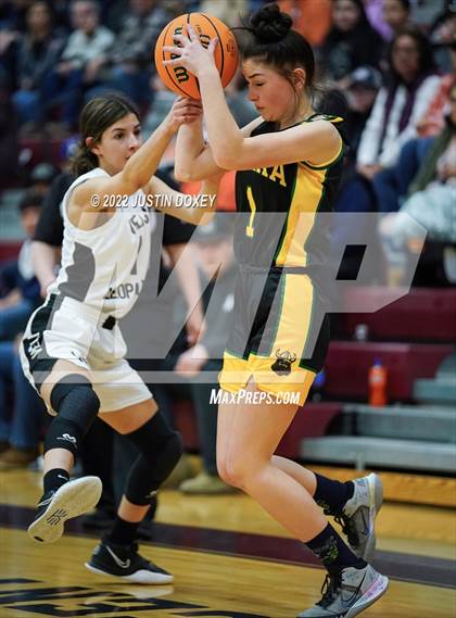 Thumbnail 2 in Wells vs. Eureka (NIAA 1A East Girls Championship) photogallery.