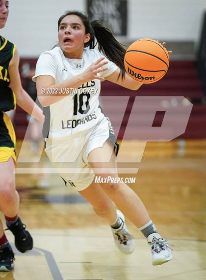Thumbnail 3 in Wells vs. Eureka (NIAA 1A East Girls Championship) photogallery.
