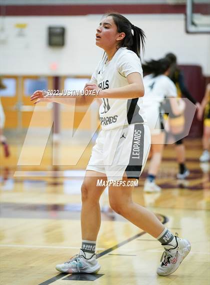 Thumbnail 2 in Wells vs. Eureka (NIAA 1A East Girls Championship) photogallery.