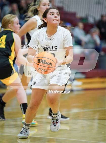 Thumbnail 1 in Wells vs. Eureka (NIAA 1A East Girls Championship) photogallery.