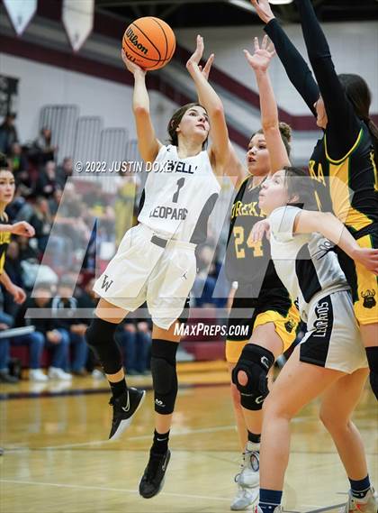 Thumbnail 1 in Wells vs. Eureka (NIAA 1A East Girls Championship) photogallery.