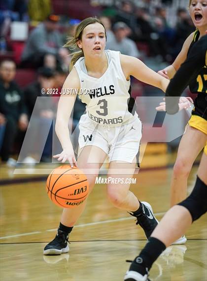 Thumbnail 1 in Wells vs. Eureka (NIAA 1A East Girls Championship) photogallery.