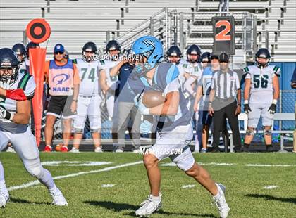 Thumbnail 3 in ThunderRidge vs Ralston Valley photogallery.