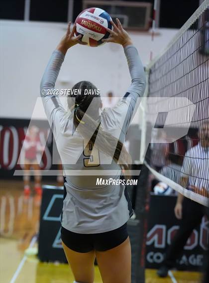 Thumbnail 2 in Basha @ Northwest Christian photogallery.