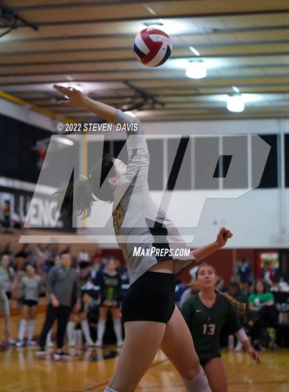 Thumbnail 3 in Basha @ Northwest Christian photogallery.