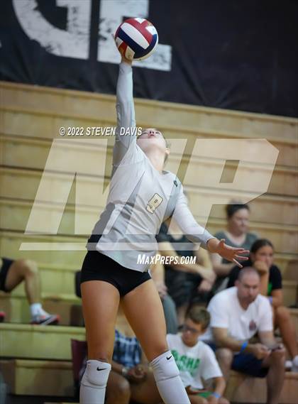 Thumbnail 3 in Basha @ Northwest Christian photogallery.