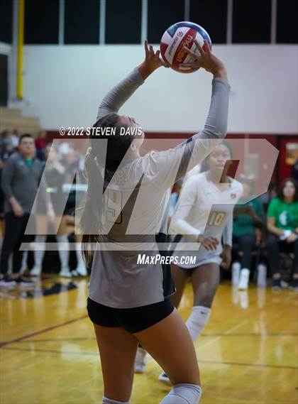 Thumbnail 1 in Basha @ Northwest Christian photogallery.