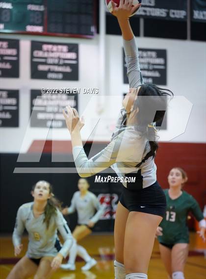 Thumbnail 2 in Basha @ Northwest Christian photogallery.