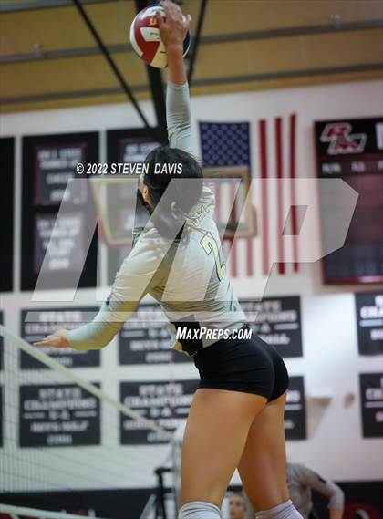Thumbnail 1 in Basha @ Northwest Christian photogallery.