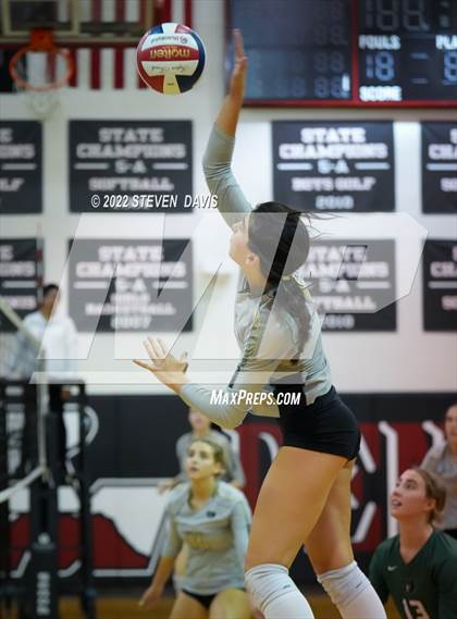 Thumbnail 3 in Basha @ Northwest Christian photogallery.