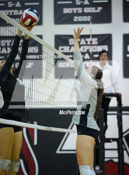 Thumbnail 2 in Basha @ Northwest Christian photogallery.