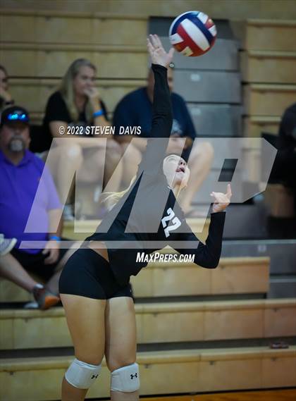 Thumbnail 3 in Basha @ Northwest Christian photogallery.