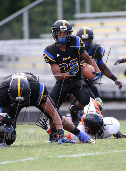 Thumbnail 1 in DuVal vs Wise photogallery.