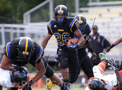 Thumbnail 3 in DuVal vs Wise photogallery.