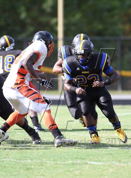 Thumbnail 1 in DuVal vs Wise photogallery.