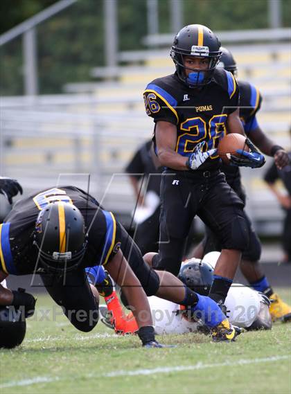 Thumbnail 2 in DuVal vs Wise photogallery.