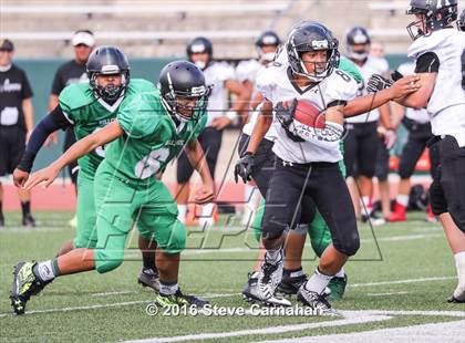 Thumbnail 1 in JV: Alta @ Hillcrest photogallery.