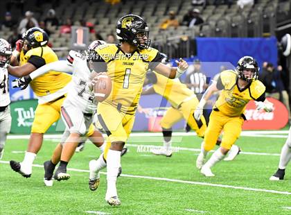 Thumbnail 3 in Many vs. Ferriday (LHSAA Class 2A Final)  photogallery.