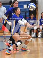 Photo from the gallery "Trinity Academy @ Cary Academy"