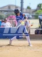 Photo from the gallery "Longmont @ Northridge"