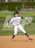 Photo from the gallery "Jersey Shore @ Milton"