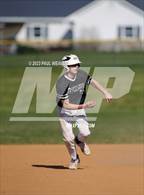 Photo from the gallery "Jersey Shore @ Milton"