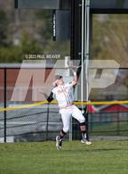 Photo from the gallery "Jersey Shore @ Milton"