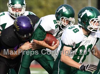 Thumbnail 1 in Ellington/Somers @ Enfield photogallery.