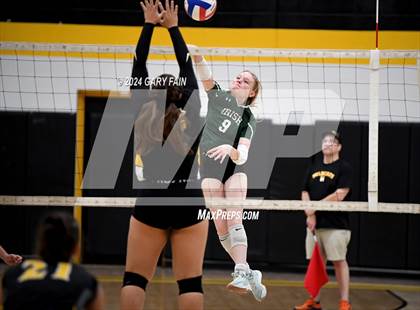 Thumbnail 2 in Notre Dame @ Hixson photogallery.