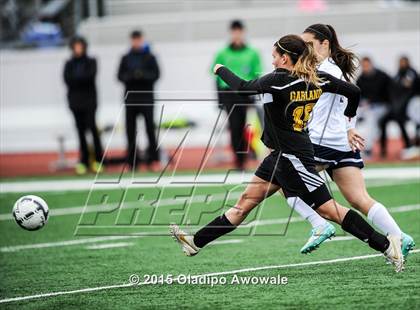 Thumbnail 3 in Garland @ Sachse photogallery.
