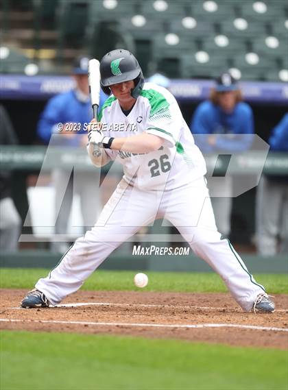 Thumbnail 3 in ThunderRidge vs Grandview (Coors Field) photogallery.