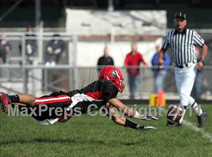 Thumbnail 3 in Rochester @ Springfield photogallery.