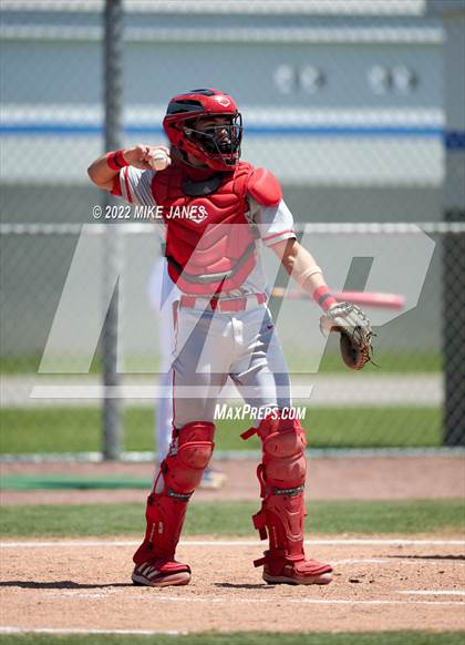 Thumbnail 2 in Avon Park @ IMG Academy Silver photogallery.