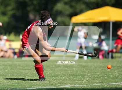 Thumbnail 1 in Grassfield @ Tallwood photogallery.