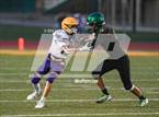 Photo from the gallery "Escalon @ Sonora"